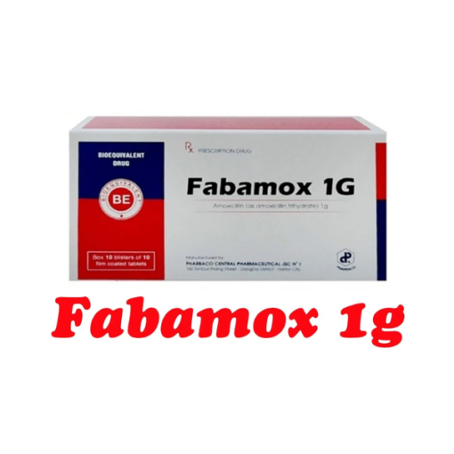 Thuốc Fabamox 1g