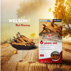 Welson Red Ginseng 6 years old