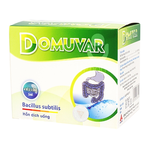 Men vi sinh Domuvar điều trị và phòng ngừa rối loạn hệ vi khuẩn đường ruột (hộp 20 ống)