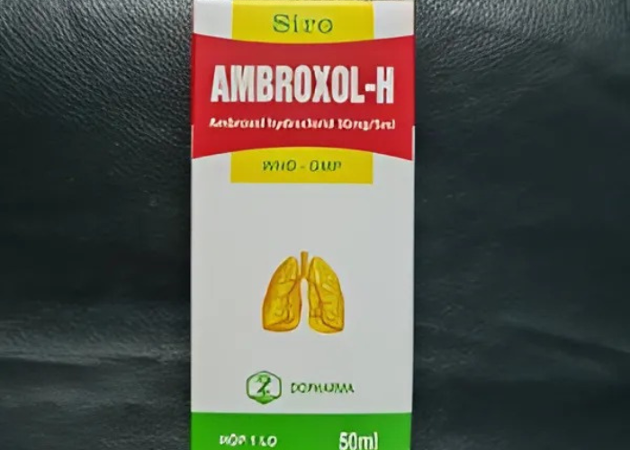 Siro trị bệnh hô hấp có kèm tăng tiết dịch phế quản Ambroxol-H Dopharma (chai 90ml)