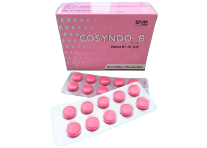 Thuốc bổ Vitamin nhóm B Armepharco Cosyndo B 100 viên