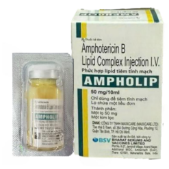 Thuốc điều trị nhiễm nấm Bharat Ampholip 50mg/10ml (Hộp 1 lọ 10ml)