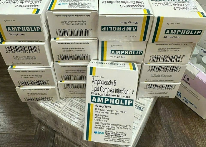 Thuốc điều trị nhiễm nấm Bharat Ampholip 50mg/10ml (Hộp 1 lọ 10ml) 