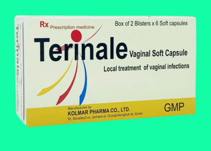 Thuốc Terinale Kolmar điều trị nhiễm trùng âm đạo do nhiễm nấm Candida (2 vỉ x 6 viên)