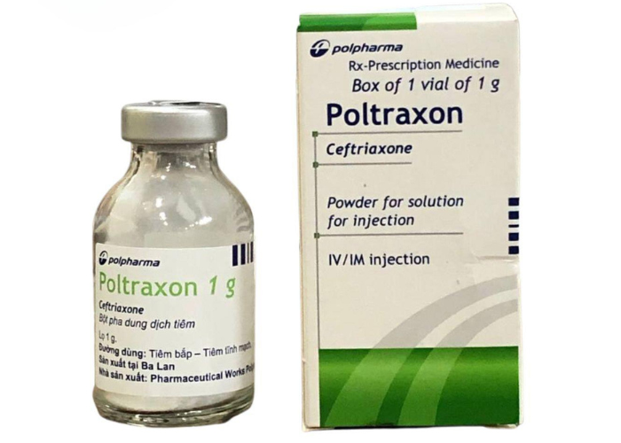 Thuốc Poltraxon 1g điều trị nhiễm khuẩn nặng