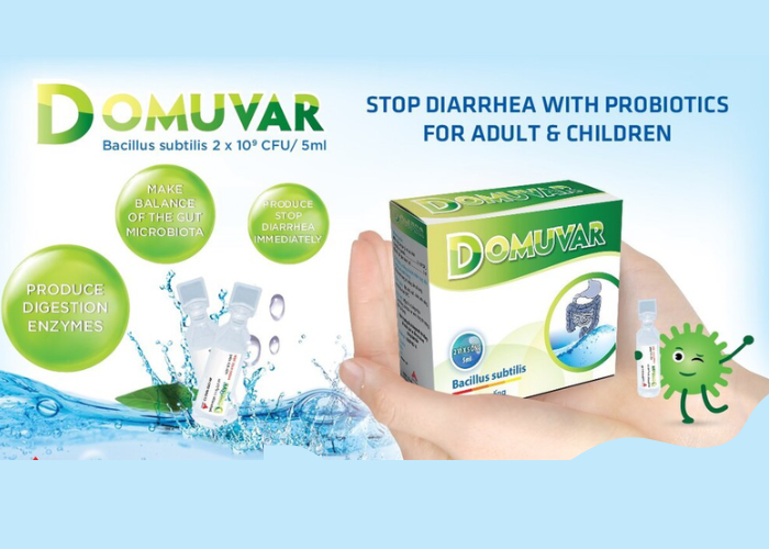 Hỗn dịch uống men vi sinh Domuvar 5ml (2 vỉ x 5 ống)