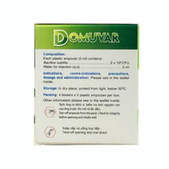 Hỗn dịch uống men vi sinh Domuvar 5ml CPC1 (2 vỉ x 5 ống)