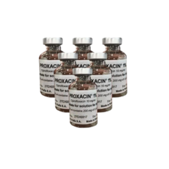 Proxacin 1% 20ml Polfa Warszawa kháng sinh điều trị nhiễm khuẩn (Hộp 10 lọ)