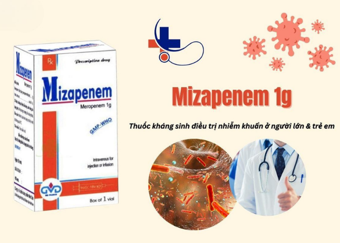 Thuốc Mizapenem 1g MD Pharco kháng sinh điều trị nhiễm khuẩn (Hộp 1 lọ)