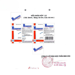 Thuốc Mizapenem 1g MD Pharco kháng sinh điều trị nhiễm khuẩn (Hộp 1 lọ)