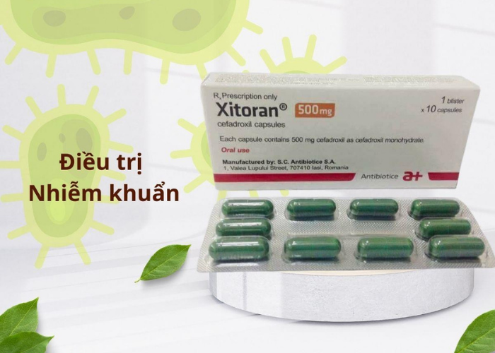 Thuốc Xitoran 500mg Antibiotice điều trị các bệnh nhiễm khuẩn gây ra bởi vi khuẩn