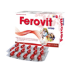 Thuốc Ferovit Intend bổ sung sắt, acid folic cho cơ thể giảm nguy cơ thiếu máu (Hộp 30 viên)