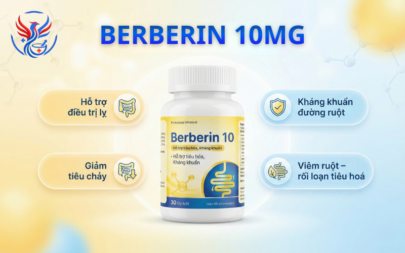 Thuốc Berberin 10mg điều trị lỵ, viêm ruột, tiêu chảy (Lọ 100 Viên)