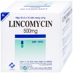 Thuốc Lincomycin 500mg điều trị nhiễm khuẩn tai mũi họng, phế quản, phổi (Hộp 10 vỉ x 10 viên)