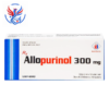 Thuốc Allopurinol 300mg điều trị tăng acid uric máu, sỏi thận (Hộp 2 Vỉ x 10 Viên)