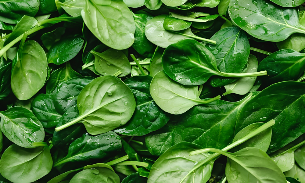 Rau lá xanh đậm như rau bina, cải xoăn cung cấp sắt và vitamin A, hỗ trợ tuyến dầu da đầu hoạt động ổn định
